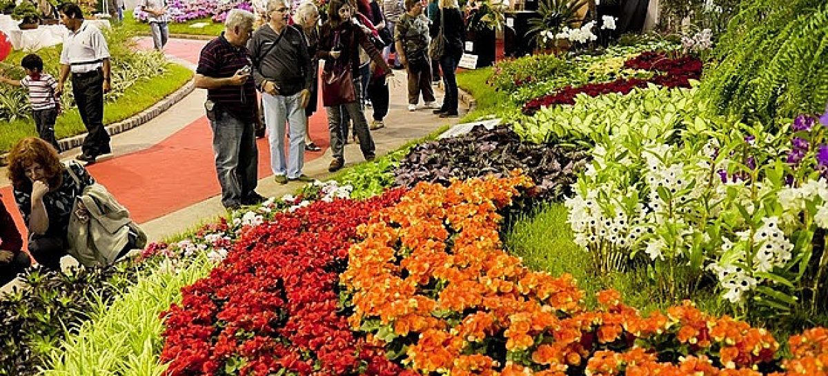 Fiesta Nacional de la Flor: se abrirá una nueva categoría de representantes culturales