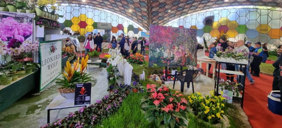 Masiva concurrencia de público en el cierre de la 60ma. Fiesta de la Flor