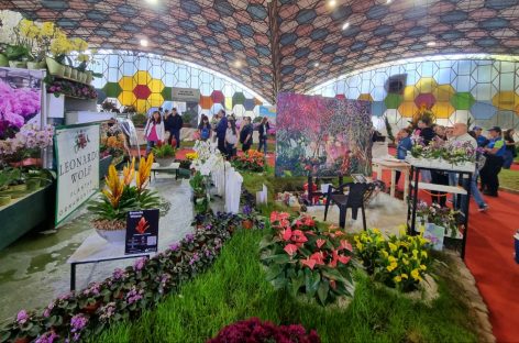 Masiva concurrencia de público en el cierre de la 60ma. Fiesta de la Flor