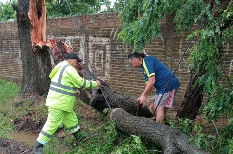 Trabajos en todo el distrito por el fuerte temporal que se desató en horas de la madrugada