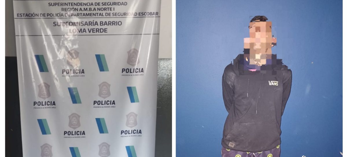 Mega operativo policial: tras 12 allanamientos se desarticuló una peligrosa banda que robaba autos a mano armada en Escobar, Pilar, Campana y Vicente López