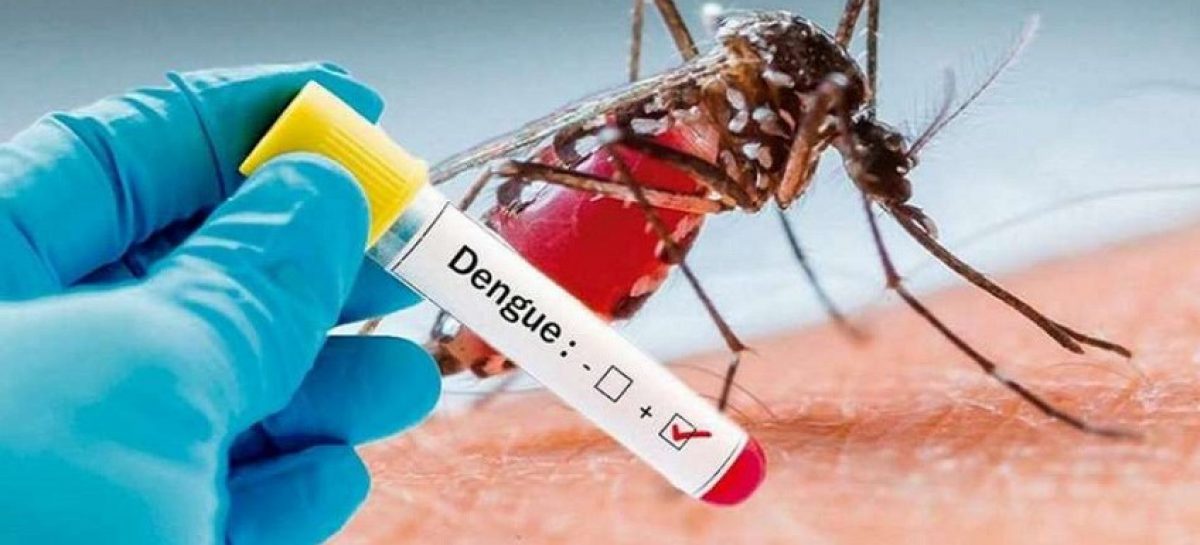 Intensifican relevamientos sanitarios en el distrito para prevenir el dengue