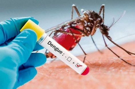 Intensifican relevamientos sanitarios en el distrito para prevenir el dengue
