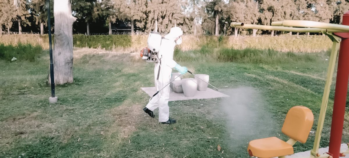 Dr. Bachiochi: “A partir de febrero se puede dar el pico de casos de dengue” (nota con audio)