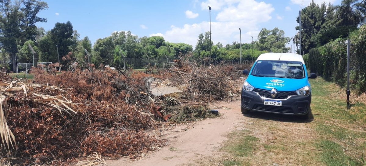 La Municipalidad de Escobar labró 10 multas en una semana por no respetar el cronograma de recolección de ramas