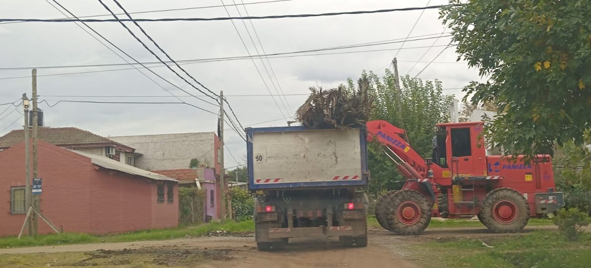 Recolección de ramas: cronograma para esta semana