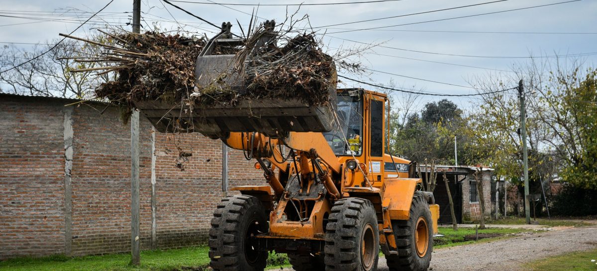 La Municipalidad comunica el cronograma de Recolección de Ramas y podas en todo el partido de Escobar