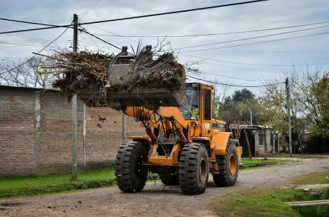 La Municipalidad comunica el cronograma de Recolección de Ramas y podas en todo el partido de Escobar