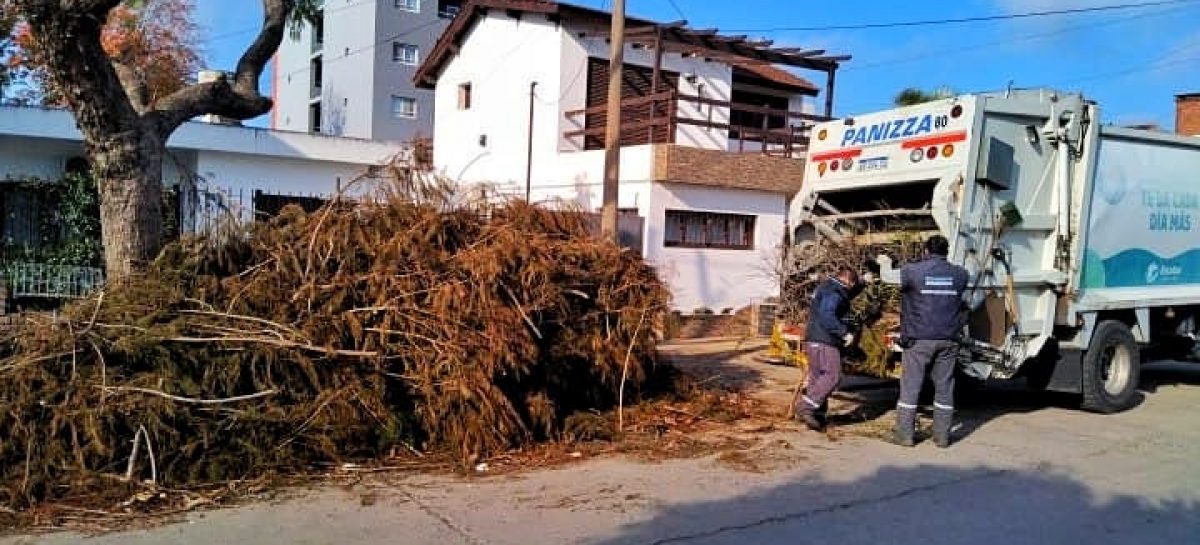 Cronograma del Sistema de Recolección de Ramas para esta semana