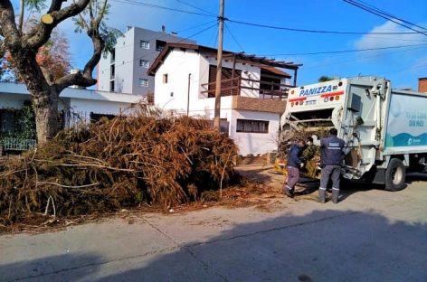 Cronograma del Sistema de Recolección de Ramas para esta semana