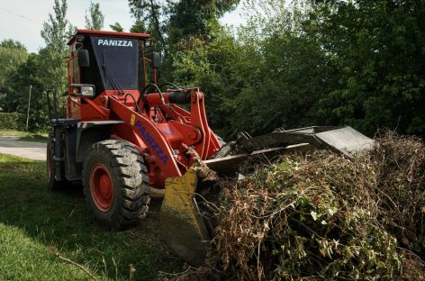 Recolección de ramas: cronograma para la semana actual