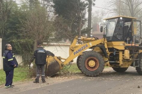 Cronograma del sistema municipal de recolección de ramas para esta primera semana de julio