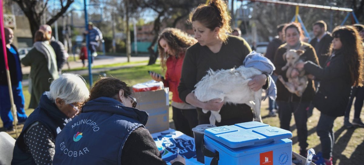 Escobar distrito: cronograma de jornadas gratuitas de castración y vacunación