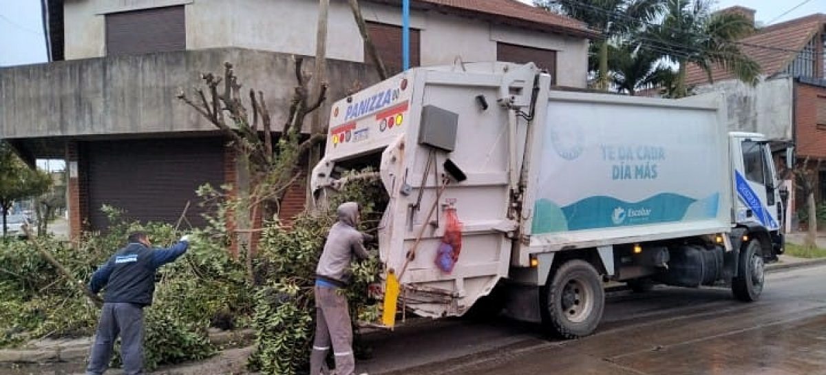 Cronograma del sistema municipal de recolección de ramas para esta semana