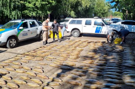 La Municipalidad decomisó 1.200 kilos de pescado que ingresaban a Escobar de manera clandestina