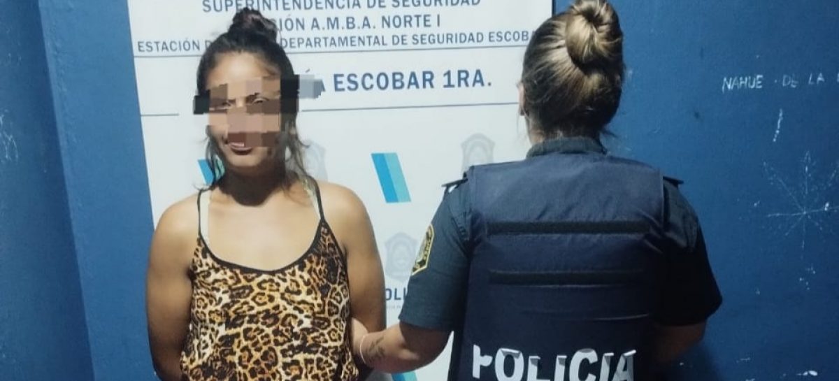 Robo en el supermercado “La Torre” del Bo. Phillips: una detenida y un prófugo ya identificado