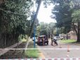 Empresas de telecomunicaciones son sancionadas por el mal estado de postes y del tendido de cables