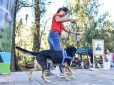 Finde largo en Escobar: la Peña de Raíces Provincianas, RiderFest y los festejos por el Día del Animal son los eventos destacados