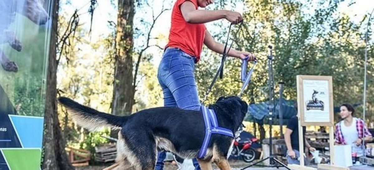 Finde largo en Escobar: la Peña de Raíces Provincianas, RiderFest y los festejos por el Día del Animal son los eventos destacados