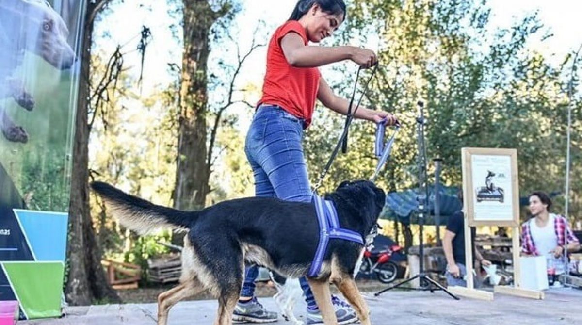 Finde largo en Escobar: la Peña de Raíces Provincianas, RiderFest y los festejos por el Día del Animal son los eventos destacados