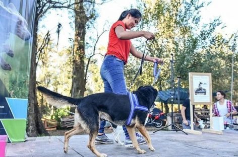 Finde largo en Escobar: la Peña de Raíces Provincianas, RiderFest y los festejos por el Día del Animal son los eventos destacados